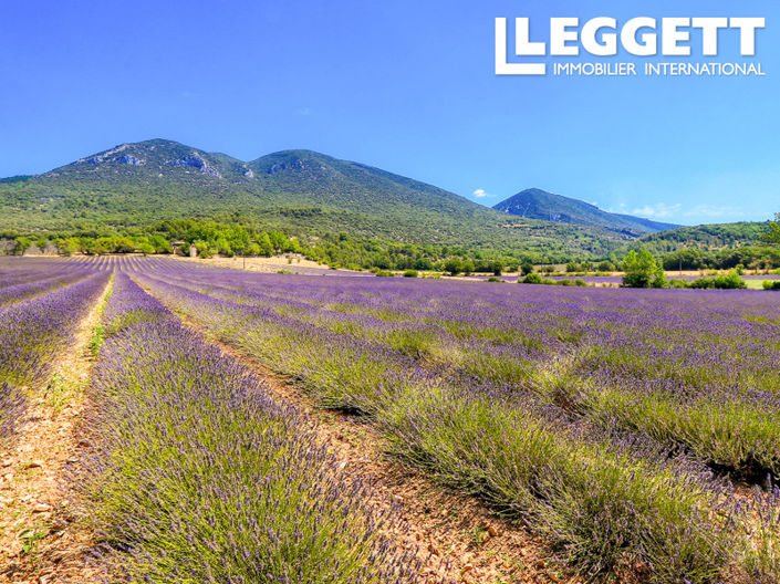 Image No.3-16 Bed Chateaux for sale