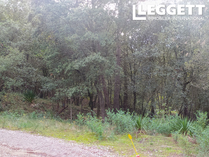 Image No.2-Terre à vendre à Palaja