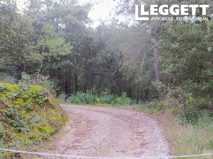 Image No.3-Terre à vendre à Palaja