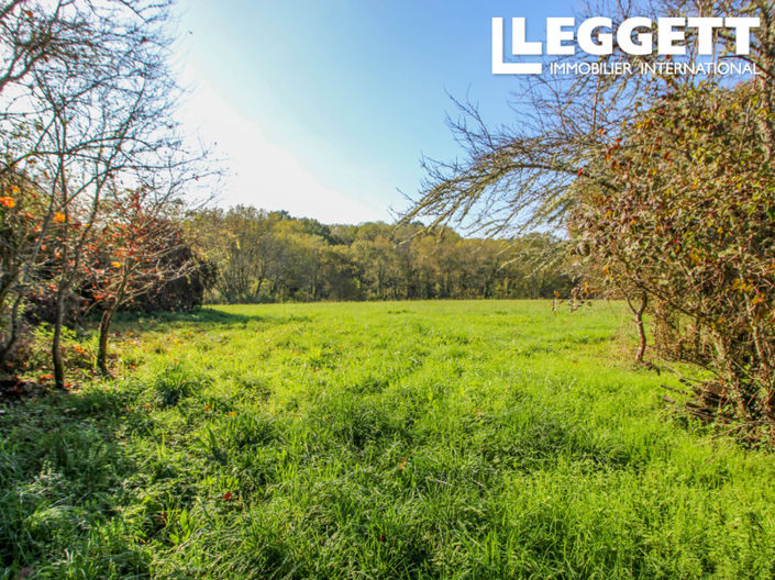 Image No.5-House for sale