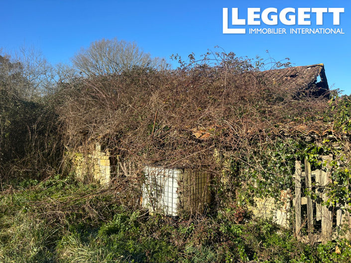 Image No.2-Bar à vendre à Dordogne