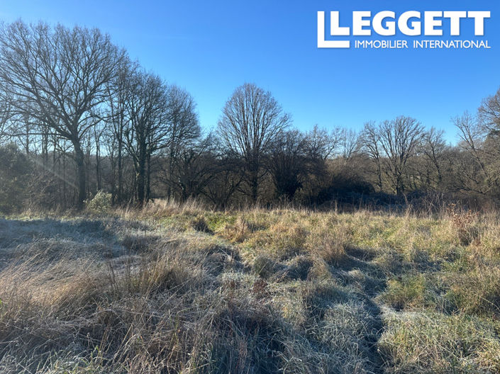 Image No.8-Bar à vendre à Dordogne