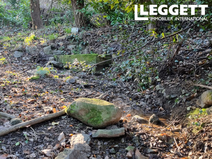 Image No.10-Bar à vendre à Olargues