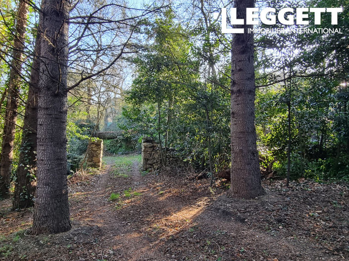 Image No.3-Bar à vendre à Olargues