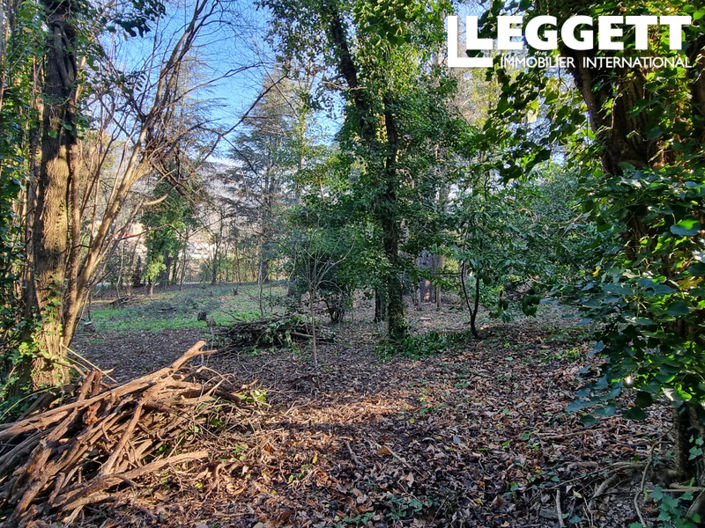 Image No.8-Bar à vendre à Olargues