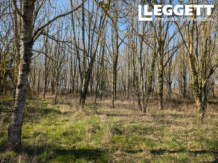 Image No.9-3 Bed House for sale