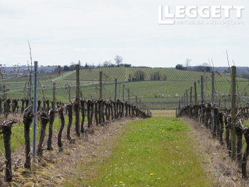 1 - Castelviel, Commercial