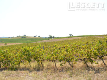 1 - Castelviel, Commercial