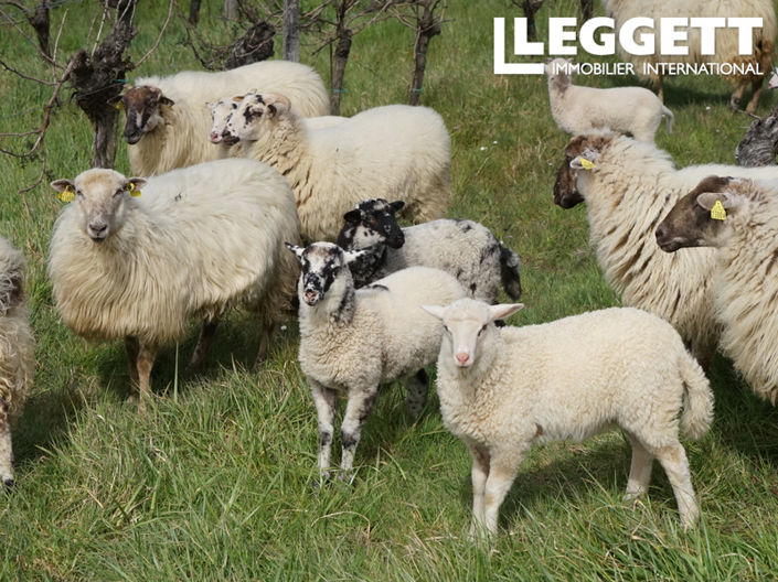 Image No.10-Commercial for sale