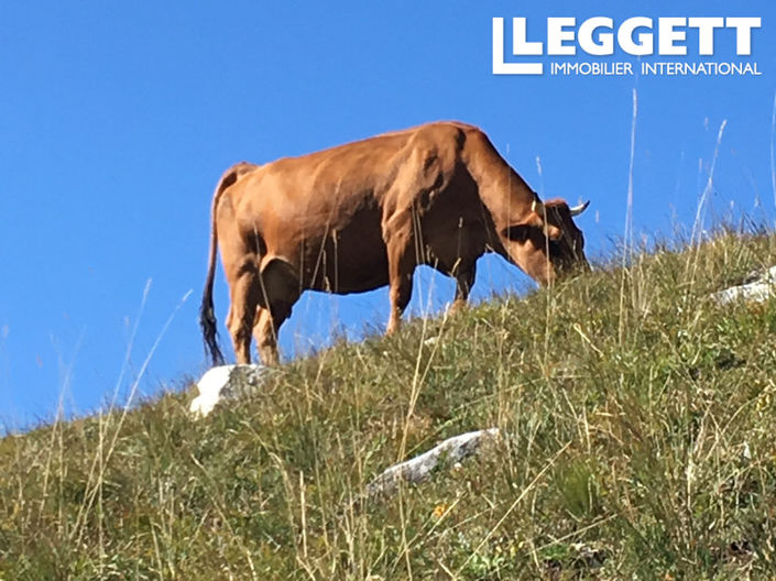 Image No.9-Appartement de 2 chambres à vendre à Pralognan-la-Vanoise