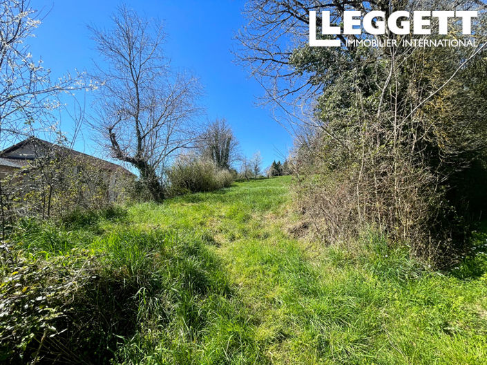 Image No.5-Terre à vendre à Alloue