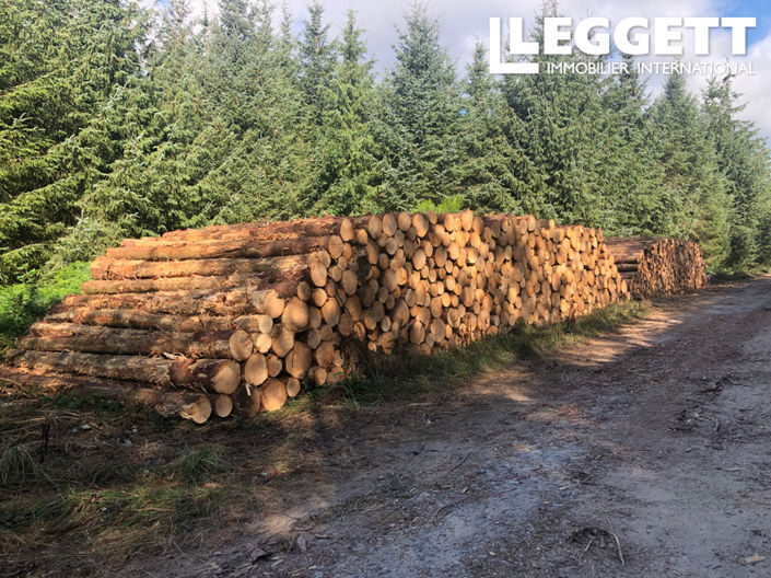 Image No.2-Maison de 6 chambres à vendre à Langonnet