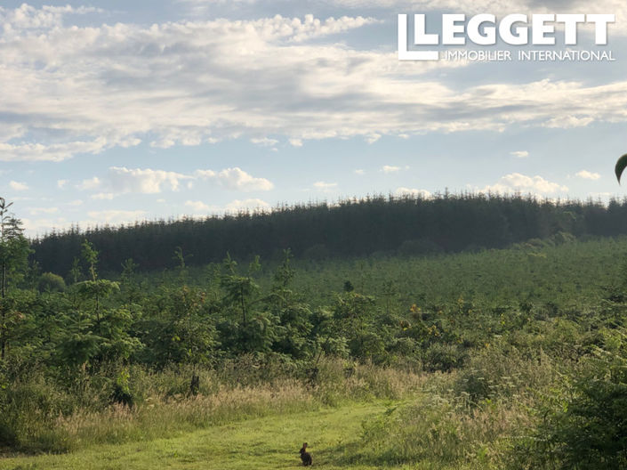 Image No.3-Maison de 6 chambres à vendre à Langonnet