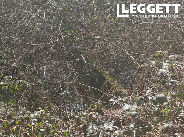 Image No.8-Terre à vendre à Ladignac-le-Long