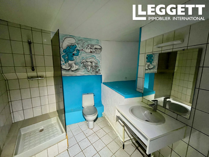 Image No.9-Maison à vendre à Le Chambon-Feugerolles