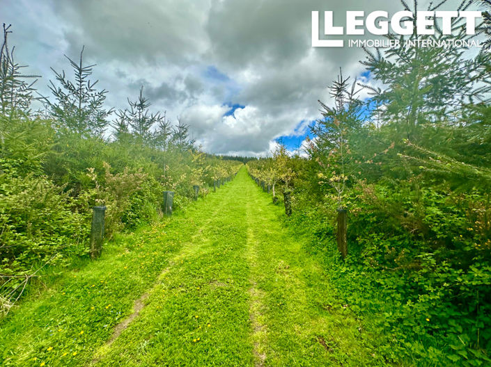 Image No.2-Terre à vendre à Langonnet