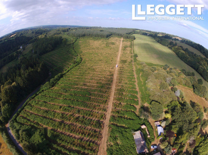 Image No.4-Terre à vendre à Langonnet