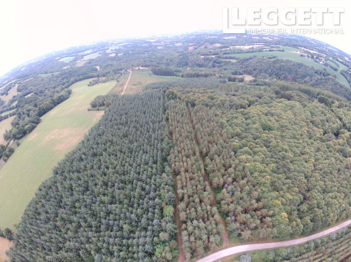 Image No.5-Terre à vendre à Langonnet