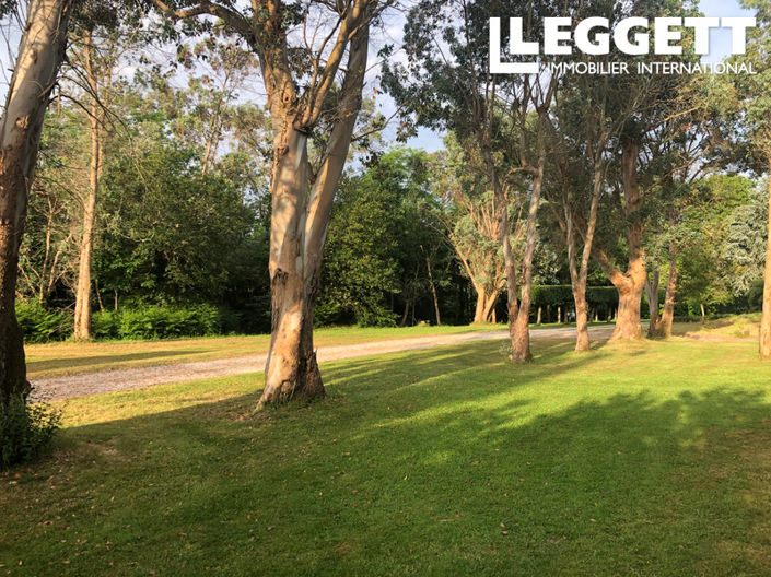 Image No.6-Terre à vendre à Langonnet