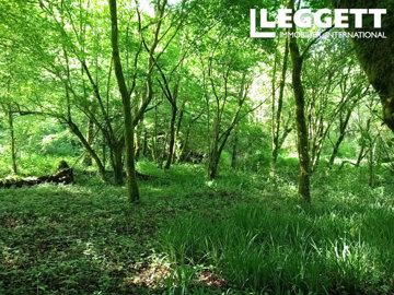 ahr0chm6ly9jzg4uagvzdglhlmltbw8vaw1hz2uvvevom