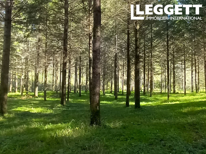 Image No.6-2 Bed House for sale