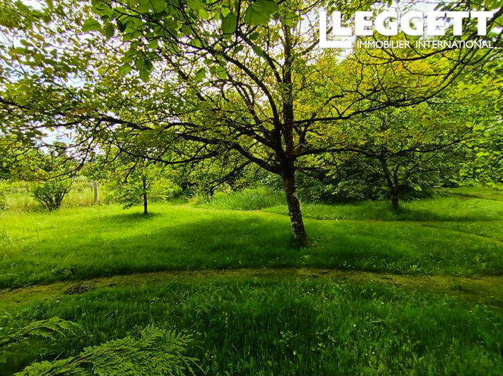 Image No.3-4 Bed House for sale