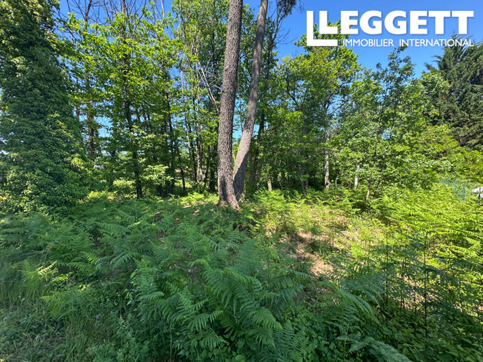 Image No.6-Terre à vendre à Chancelade