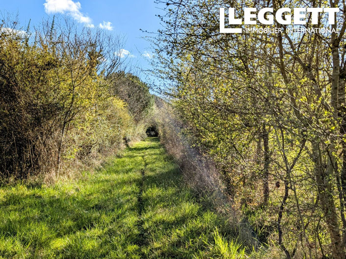 Image No.7-Maison de 5 chambres à vendre à Pompignac