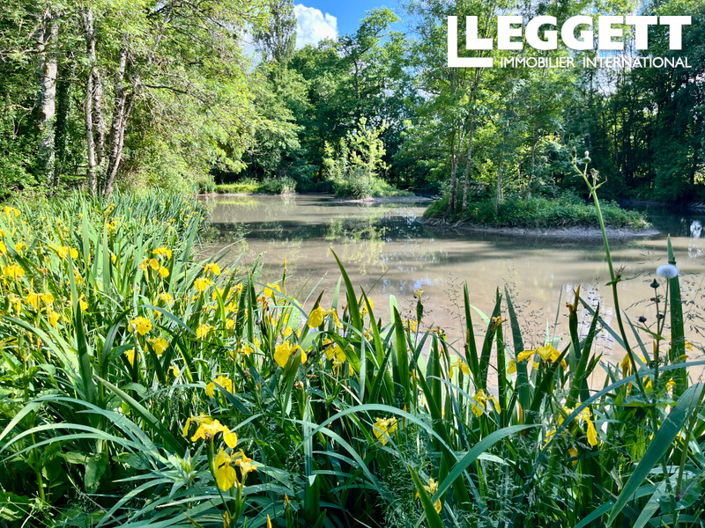 Image No.4-7 Bed House for sale