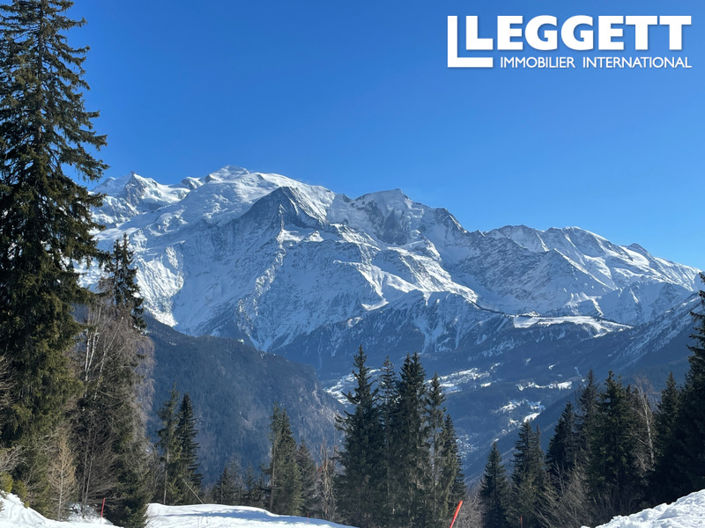 Image No.10-Terre de 4 chambres à vendre à Passy