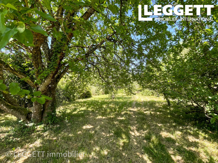 Image No.3-Maison de 4 chambres à vendre à Soucirac