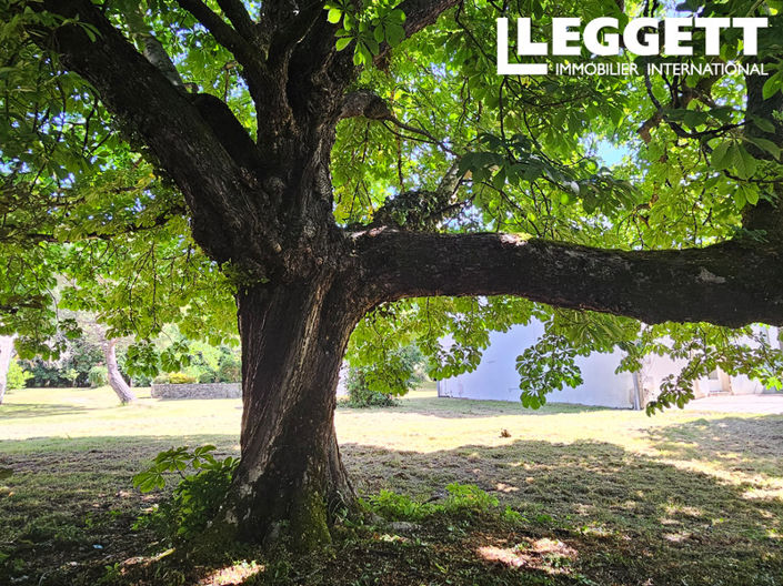 Image No.10-6 Bed House for sale