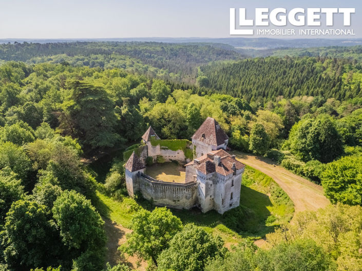 Image No.1-Châteaux de 4 chambres à vendre à Périgueux