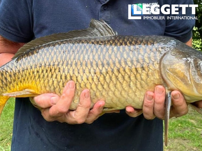 Image No.10-4 Bed House for sale