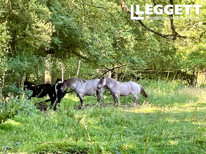Image No.4-Maison de 4 chambres à vendre à Saint-Jean-Brévelay
