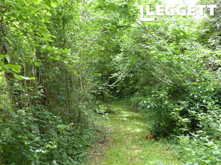 Image No.4-Terre à vendre à Montrollet