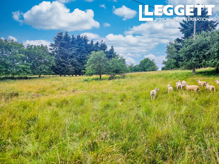Image No.5-Maison de 4 chambres à vendre à Séreilhac