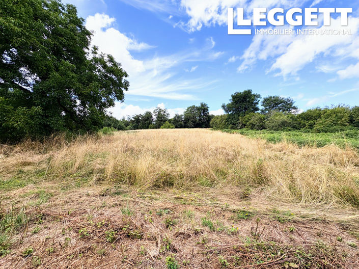 Image No.6-Bar for sale