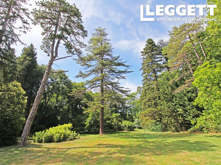 Image No.4-Maison de 13 chambres à vendre à Mirepoix