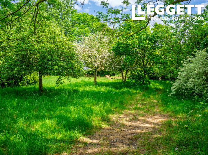 Image No.2-Maison de 10 chambres à vendre à Aubéguimont