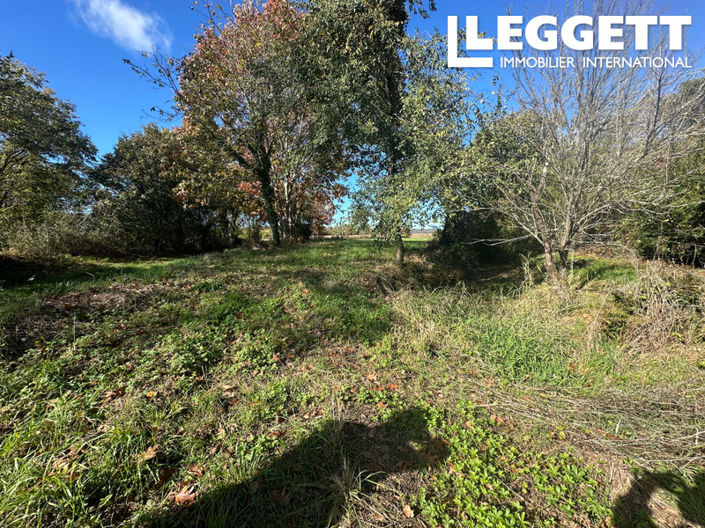 Image No.8-Land for sale