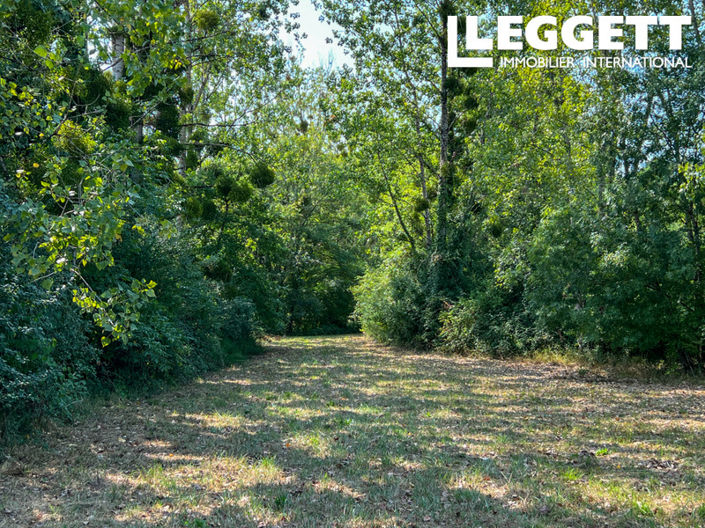Image No.5-Maison de 5 chambres à vendre à Duras