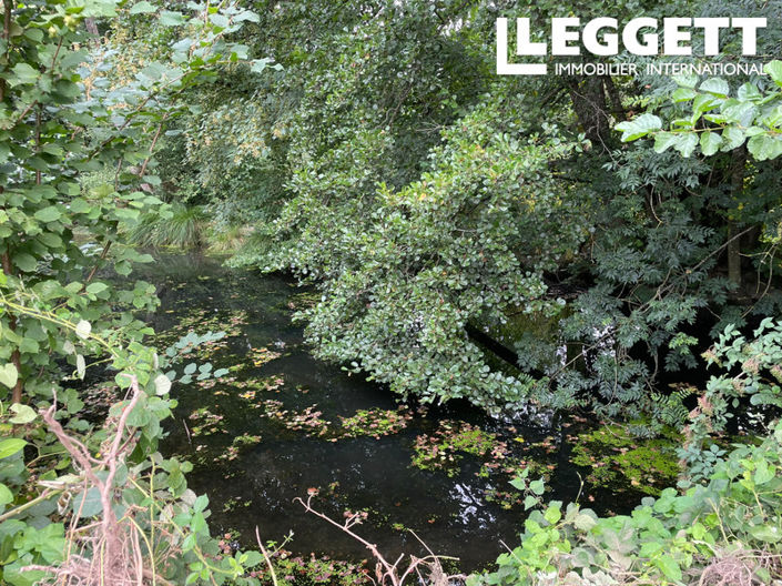 Image No.3-House for sale