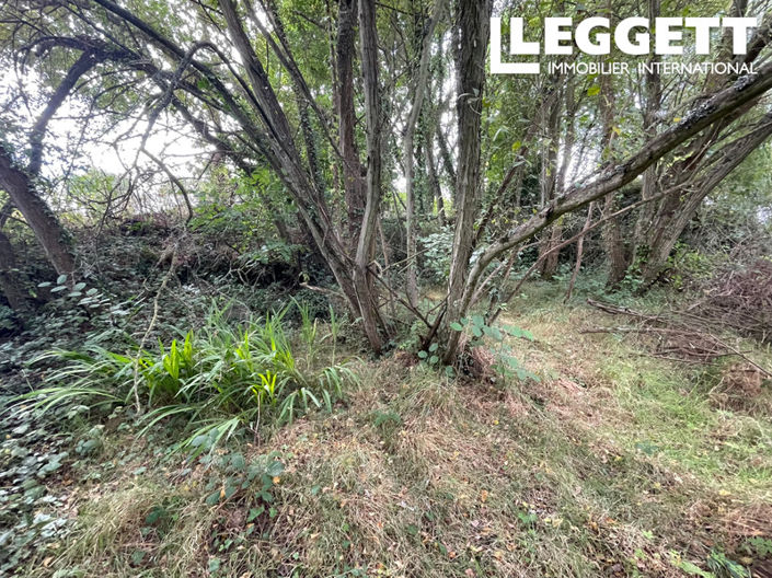 Image No.5-Maison de 4 chambres à vendre à Pludual