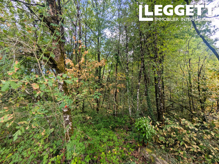 Image No.8-Land for sale