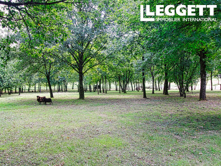 Image No.10-3 Bed House for sale