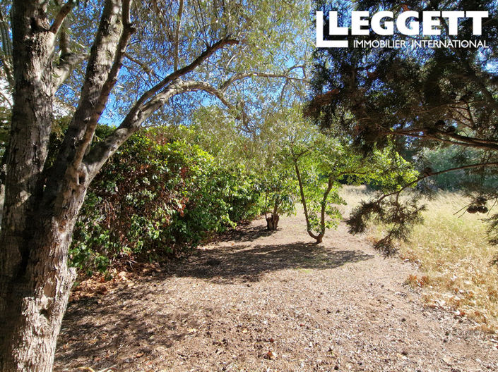 Image No.7-Terre à vendre à Marseillette