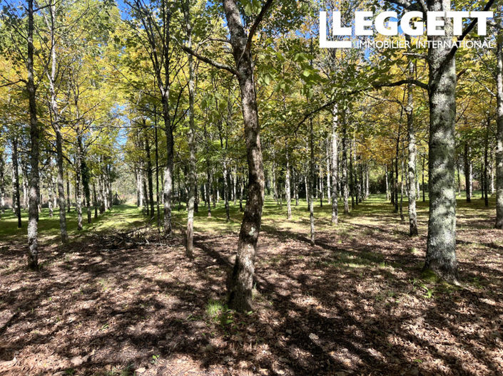 Image No.6-2 Bed House for sale