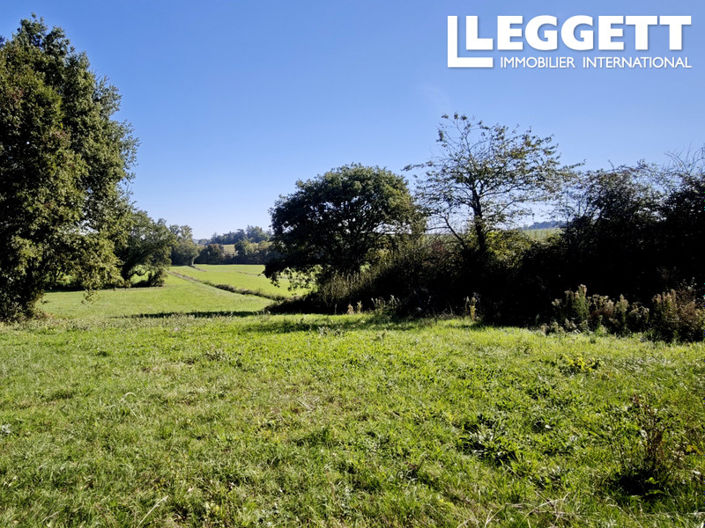 Image No.4-Terre à vendre à Beauvais-sur-Tescou