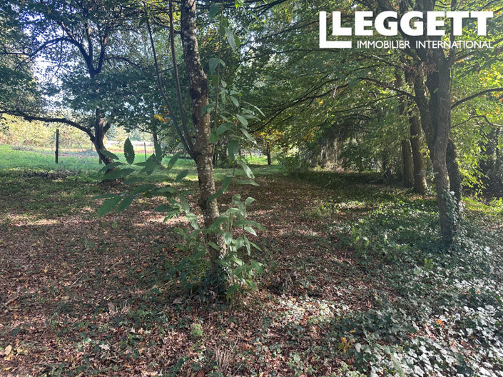 Image No.10-3 Bed House for sale